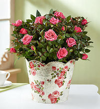 Load image into Gallery viewer, 1-800-Flowers Classic Budding Rose, Large