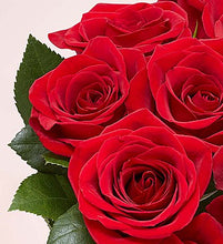 Load image into Gallery viewer, 1-800-Flowers Two Dozen Red Roses with Red Vase