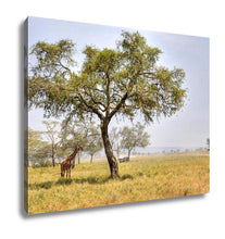 Load image into Gallery viewer, Gallery Wrapped Canvas, African Landscape With A Acacia Tree