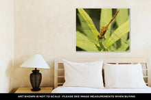 Load image into Gallery viewer, Gallery Wrapped Canvas, A Dragonfly Resting On A Leaf In Minnesota