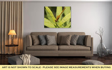 Load image into Gallery viewer, Gallery Wrapped Canvas, A Dragonfly Resting On A Leaf In Minnesota