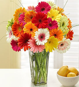 Lively Lilies & Gerberas Floral Design in Blue Bell, PA - BLOOMS