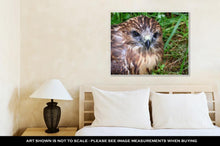 Load image into Gallery viewer, Gallery Wrapped Canvas, Falcon Nestling