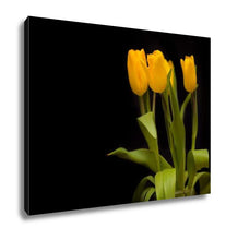 Load image into Gallery viewer, Gallery Wrapped Canvas, Yellow Tulips On A Dark