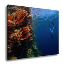 Load image into Gallery viewer, Gallery Wrapped Canvas, Freediver Descending Along The Vivid Reef Wall Red Sea Egypt
