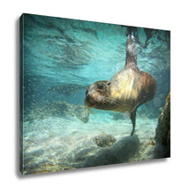 Load image into Gallery viewer, Gallery Wrapped Canvas, Sea Lion Swimming Underwater In Ocean