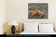 Load image into Gallery viewer, Gallery Wrapped Canvas, Red Cliff Crab Ecuador
