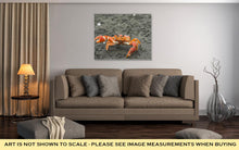 Load image into Gallery viewer, Gallery Wrapped Canvas, Red Cliff Crab Ecuador