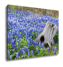Load image into Gallery viewer, Gallery Wrapped Canvas, Austin Beautiful Texas Bluebonnets Field And Tree Stump