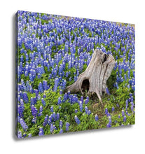 Load image into Gallery viewer, Gallery Wrapped Canvas, Austin Beautiful Texas Bluebonnets Field And Tree Stump
