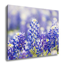 Load image into Gallery viewer, Gallery Wrapped Canvas, Austin Texas Wildflower Closeup Bluebonnets In Spring