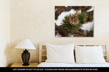 Load image into Gallery viewer, Gallery Wrapped Canvas, Dried Joshua Trees Flowers And Leaves
