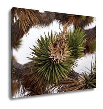 Load image into Gallery viewer, Gallery Wrapped Canvas, Dried Joshua Trees Flowers And Leaves