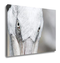 Load image into Gallery viewer, Gallery Wrapped Canvas, Long Beach Pelican Portrait