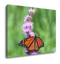 Load image into Gallery viewer, Gallery Wrapped Canvas, Monarch Butterfly Feeding On Pink Flower