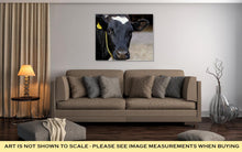 Load image into Gallery viewer, Gallery Wrapped Canvas, Meat Dairy Breed Cows On Farm