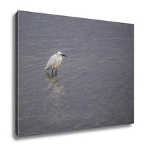 Load image into Gallery viewer, Gallery Wrapped Canvas, Little Egret