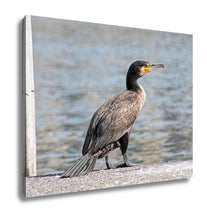 Load image into Gallery viewer, Gallery Wrapped Canvas, Cormorant In Zurich