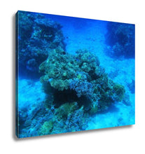 Load image into Gallery viewer, Gallery Wrapped Canvas, Red Sea Underwater