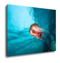 Load image into Gallery viewer, Gallery Wrapped Canvas, Jellyfish At British Columbia