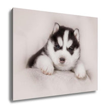 Load image into Gallery viewer, Gallery Wrapped Canvas, Cute Siberian Husky Puppy