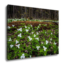Load image into Gallery viewer, Gallery Wrapped Canvas, Moss Covered Log And Wild White Trillium Fallen Log Surrounded By Wild White