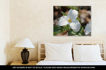 Load image into Gallery viewer, Gallery Wrapped Canvas, Trillium Grandiflorumwhite