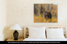 Load image into Gallery viewer, Gallery Wrapped Canvas, Bull Moose In Fall