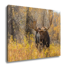 Load image into Gallery viewer, Gallery Wrapped Canvas, Bull Moose In Fall