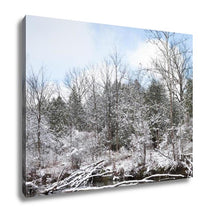 Load image into Gallery viewer, Gallery Wrapped Canvas, Frosty Winter Scene Vertical