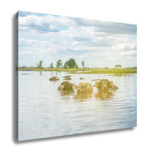 Load image into Gallery viewer, Gallery Wrapped Canvas, The Domestic Buffalo Hides In River Thailand