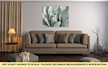 Load image into Gallery viewer, Gallery Wrapped Canvas, Mescal Agave Parryi Var Truncate Is A Slow Growing Perennial Native To Arizona