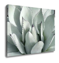 Load image into Gallery viewer, Gallery Wrapped Canvas, Mescal Agave Parryi Var Truncate Is A Slow Growing Perennial Native To Arizona