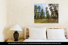 Load image into Gallery viewer, Gallery Wrapped Canvas, Pine Tree Forest In Grand Canyon Arizona