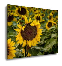 Load image into Gallery viewer, Gallery Wrapped Canvas, Large Yellow Sunflowers At Sunset