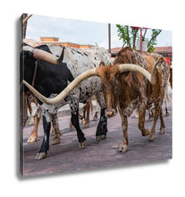 Load image into Gallery viewer, Gallery Wrapped Canvas, Longhorn Cattle Drive At The Stockyards Of Fort Worth Texas