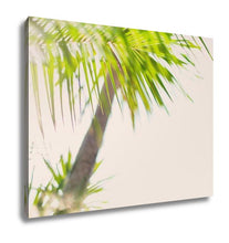 Load image into Gallery viewer, Gallery Wrapped Canvas, Tropical Palm Trees Branches Sun Light