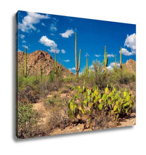 Load image into Gallery viewer, Gallery Wrapped Canvas, Saguaro And The Mountains In The Sonoran Desert Of Arizona
