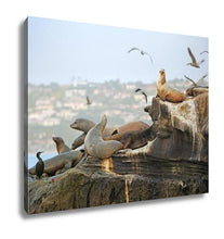 Load image into Gallery viewer, Gallery Wrapped Canvas, Seals Sea Lions Seaguls Pelicans And Other Residents Of La Jolla California