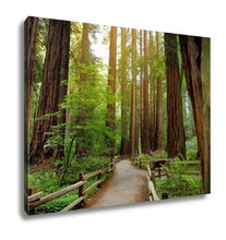 Load image into Gallery viewer, Gallery Wrapped Canvas, Hiking Trails Through Giant Redwoods In Muir Forest Near San Francisco